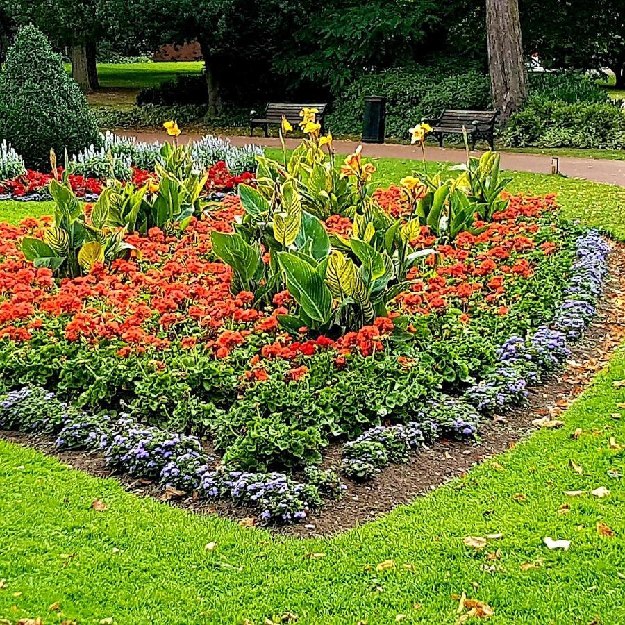 West Park Annex - Central Wolverhampton Eksteriør bilde